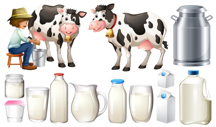 Cow Milk vs Buffalo Milk: Which one is a better